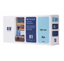 HP No.81 printhead & cleaner light cyan (Dye)