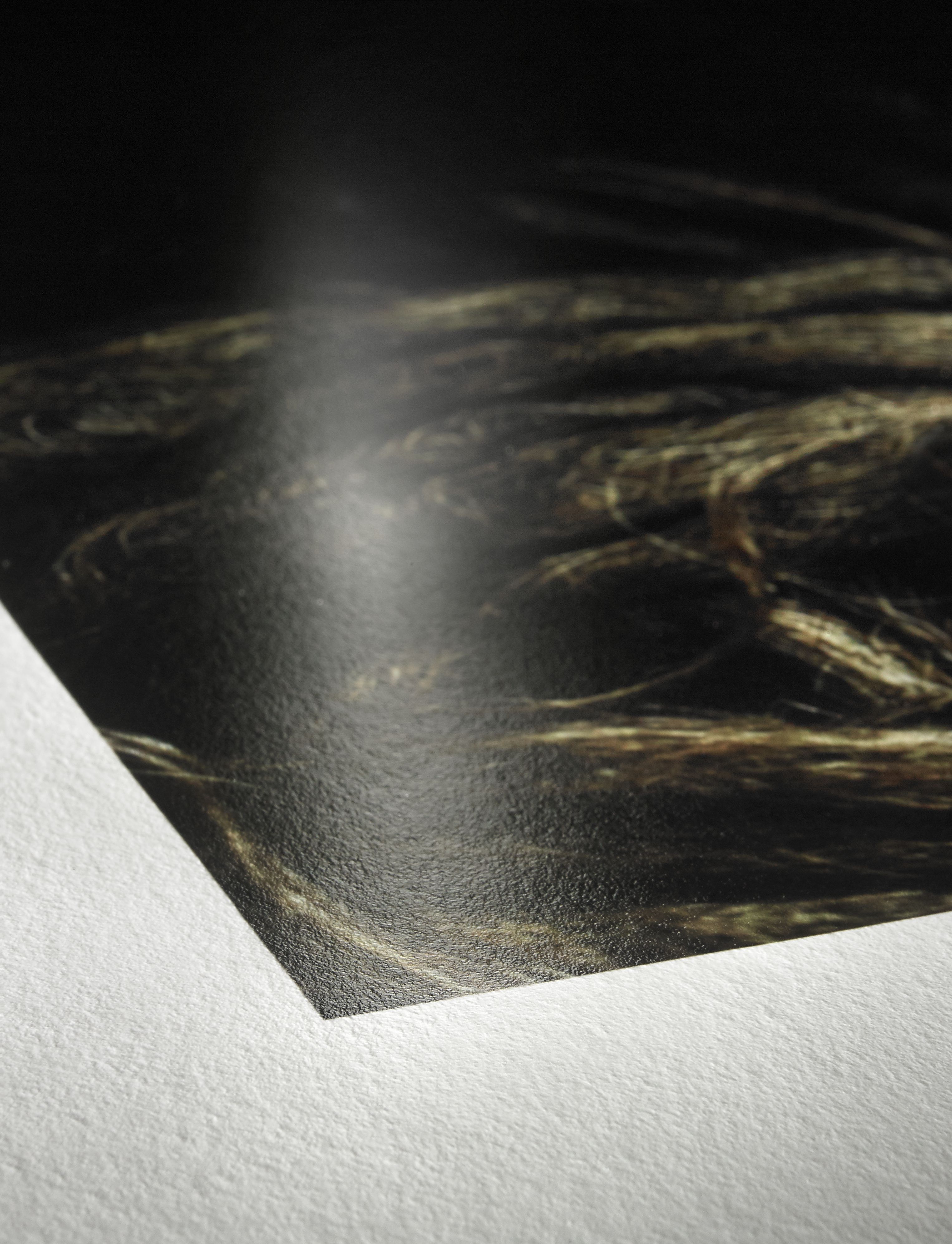 Photo Rag Baryta - 315gsm Roll