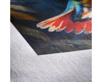 Daguerre Canvas Smooth - 420gsm Roll