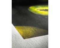 Canvas Artist - 340gsm Roll