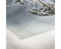 Museum Etching - 350gsm Roll