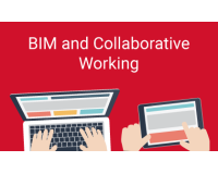 BIM and Collaborative Working eTraining