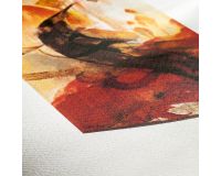 Albrecht Durer - 210gsm Roll