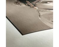 Photo Rag - 188/308gsm 12m Roll